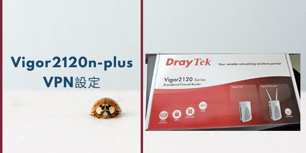 Read more about the article VPN 使用Vigor2120n plus成功從中國翻牆