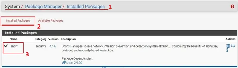05_入侵偵測系統安裝實例 - step 4 confirmed snort plugin installed in pfsense