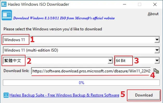 01 download Microsoft Windows 11 ISO - Hasleo Windows ISO Downloader