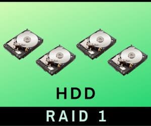 26 HDD RAID 1 300x250 1